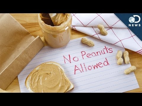 Why Are Peanut Allergic reactions Becoming So Common?
